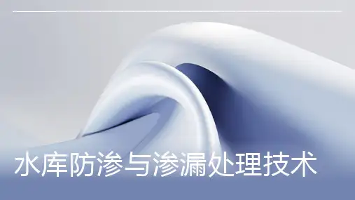 水库防渗与渗漏处理技术