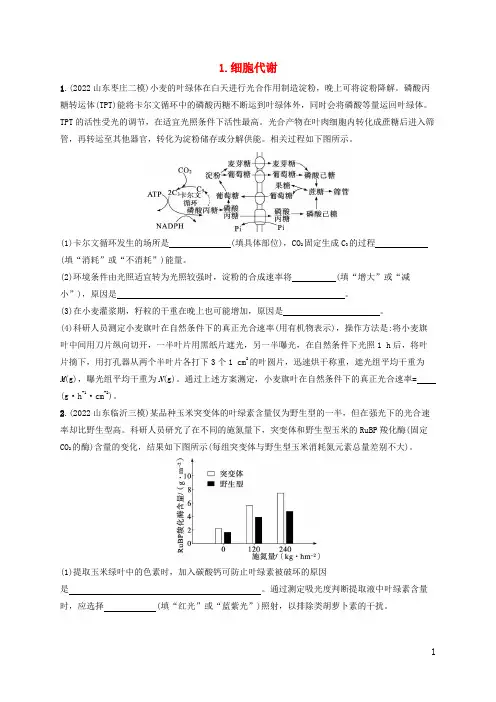 高考生物二轮复习大题分析与表达练1细胞代谢