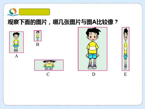 六年级上册数学课件-1.1 生活中的比丨浙教版  (共15张PPT)