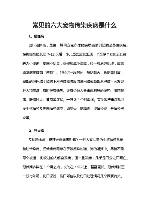 常见的六大宠物传染疾病是什么