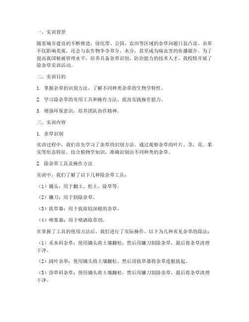 除杂草实训报告