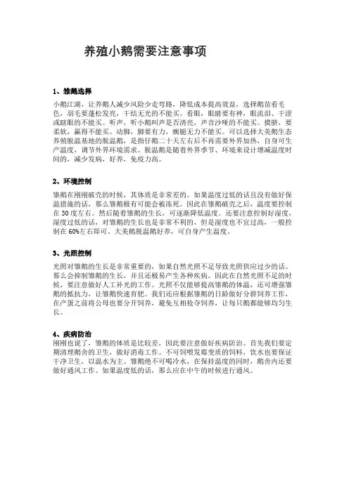 饲养小鹅的注意事项