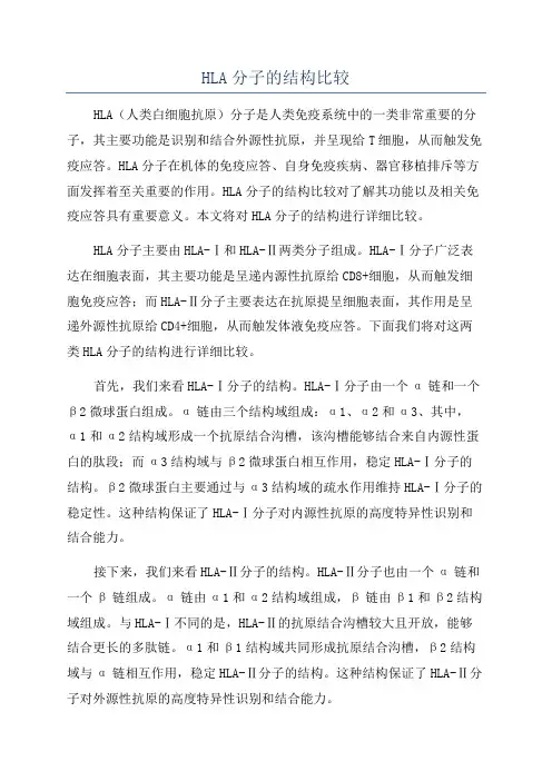 HLA分子的结构比较