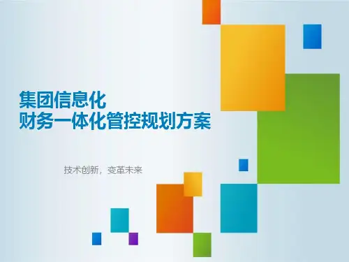 集团信息化财务一体化管控规划方案