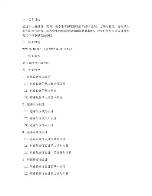 道路设计实训报告书