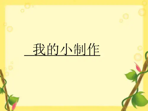 我的小制作__(作文指导课)