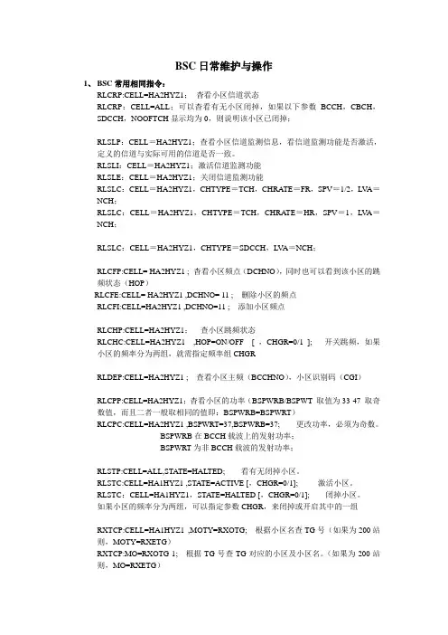 BSC日常维护与操作