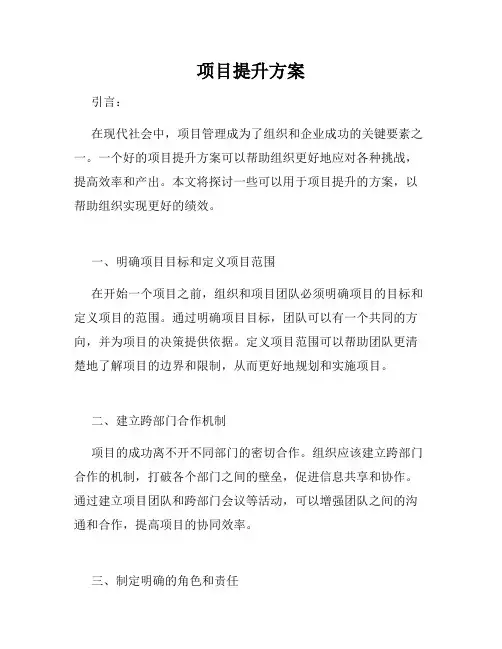 项目提升方案