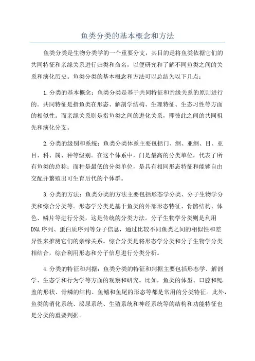 鱼类分类的基本概念和方法