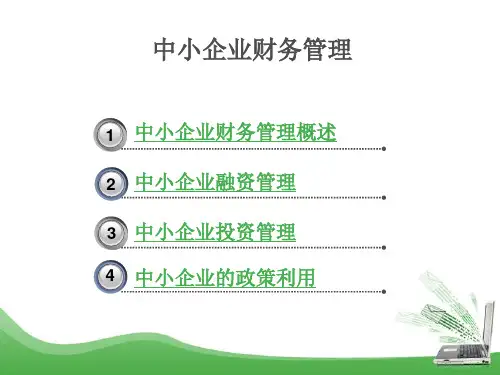高级财务管理-中小企业财务管理