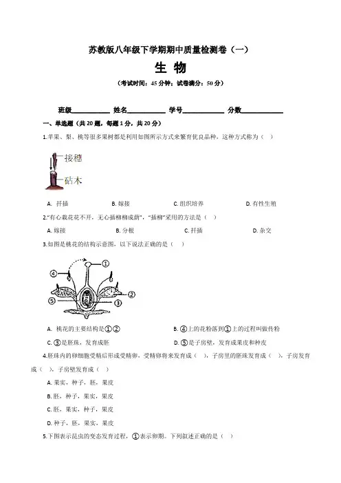 【期中卷】苏教版八年级生物下学期期中质量检测卷(一)含答案与解析