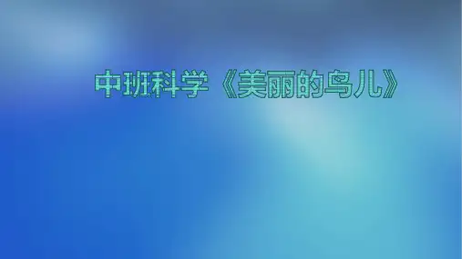 幼儿园中班科学《美丽的鸟儿》PPT课件