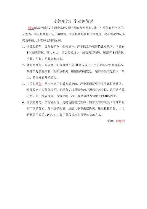 小鳄龟的几个亚种简说
