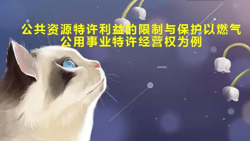 公共资源特许利益的限制与保护以燃气公用事业特许经营权为例