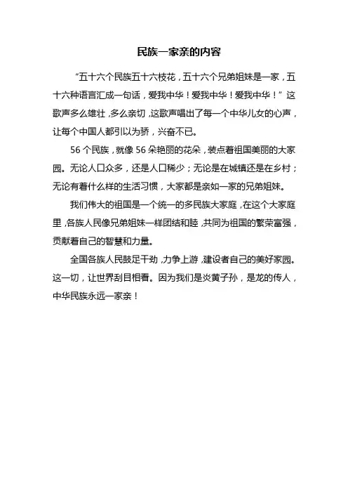 民族一家亲的内容