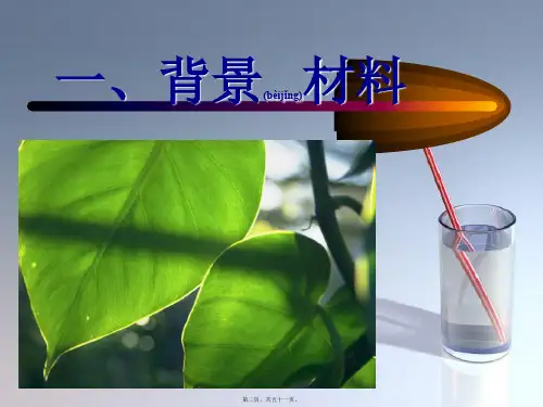 202X年肺癌分期之纵隔淋巴转移的CT展示