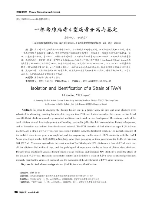 一株禽腺病毒4_型病毒分离与鉴定