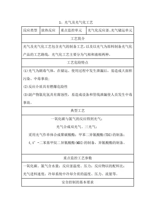 07  18种重点监管危险化工工艺