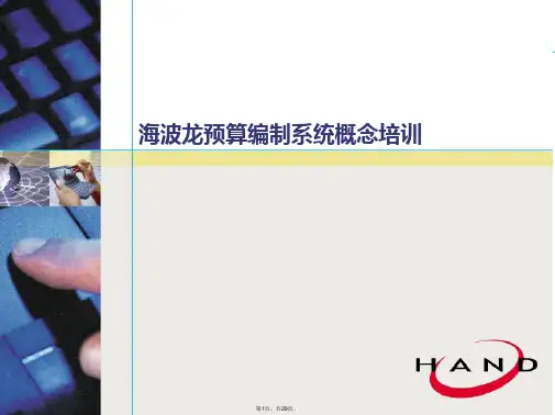 PLN-海波龙预算编制系统概念培训