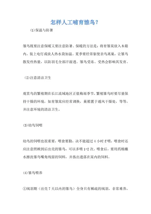 怎样人工哺育雏鸟？