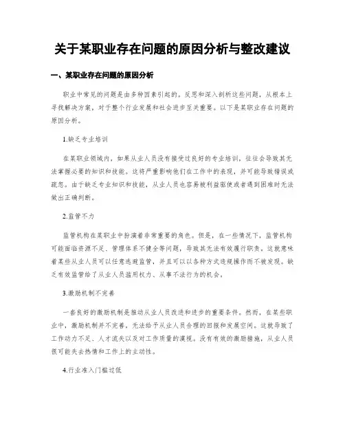 关于某职业存在问题的原因分析与整改建议