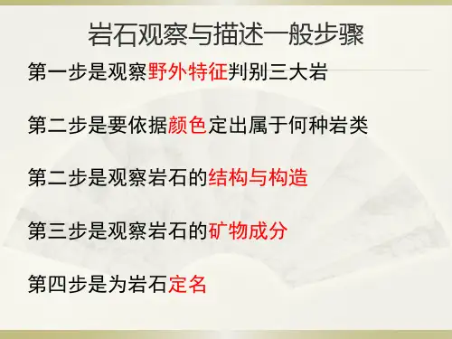 野外识别三大岩