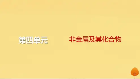 2024届高考化学一轮总复习：氯气和卤族元素课件