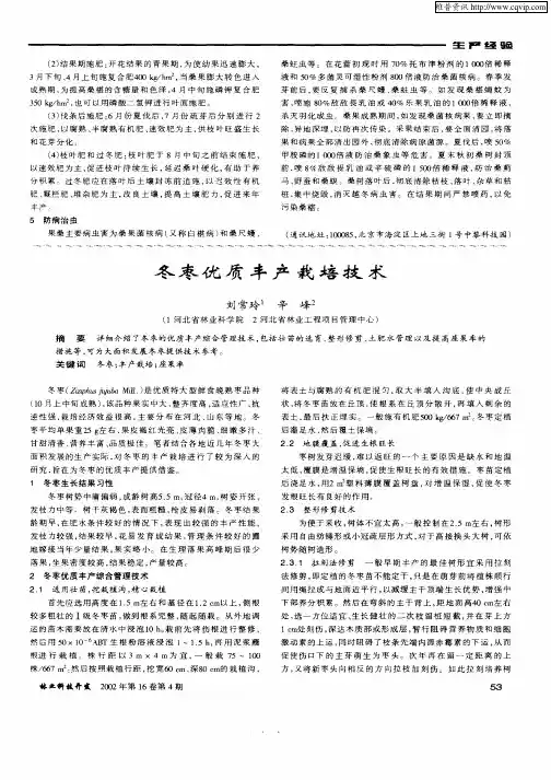 冬枣优质丰产栽培技术