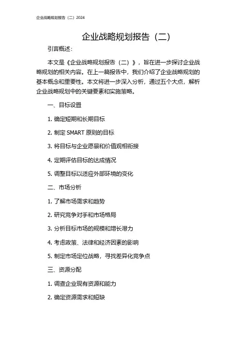 企业战略规划报告(二)2024