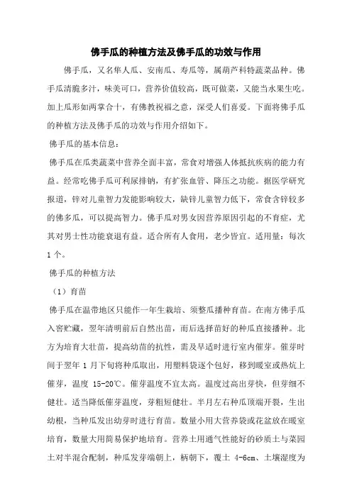 佛手瓜的种植方法及佛手瓜的功效与作用