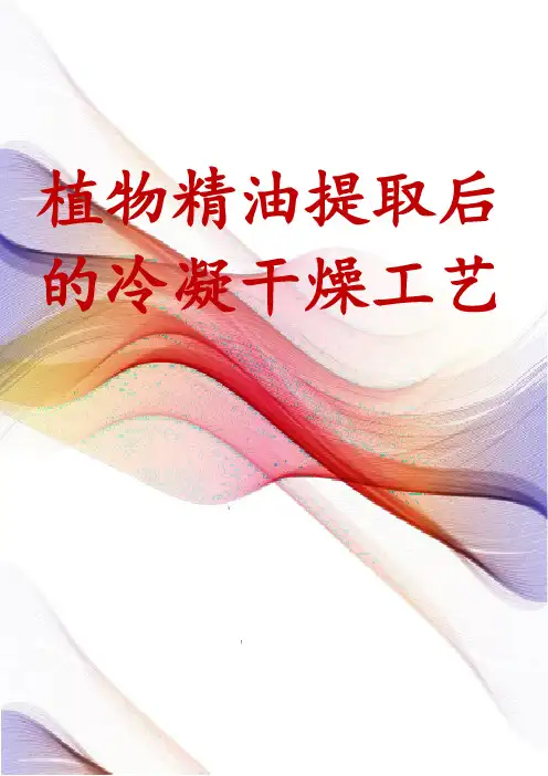 植物精油提取后的冷凝干燥工艺