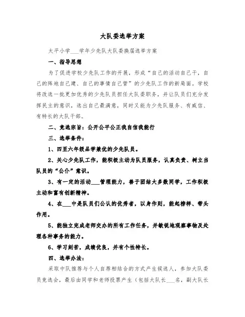 大队委选举方案（3篇）