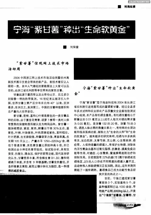 宁海“紫甘薯”种出“生命软黄金”