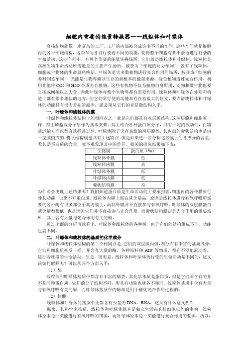 细胞内重要的能量转换器——线粒体和叶绿体