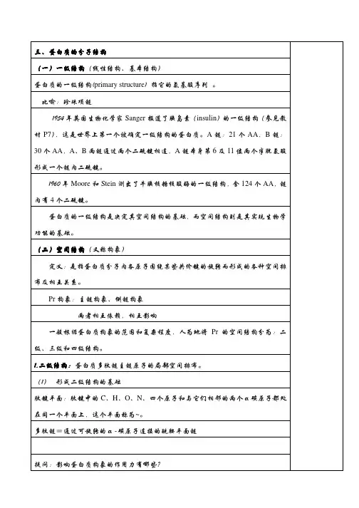 蛋白质的分子结构
