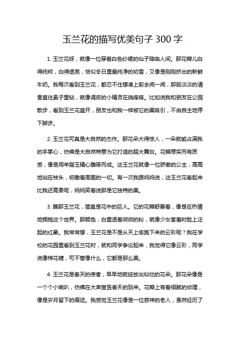 玉兰花的描写优美句子300字