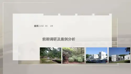 建筑系馆前期调研ppt课件