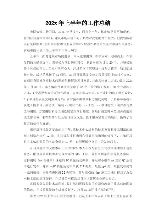 202x年上半年工作总结