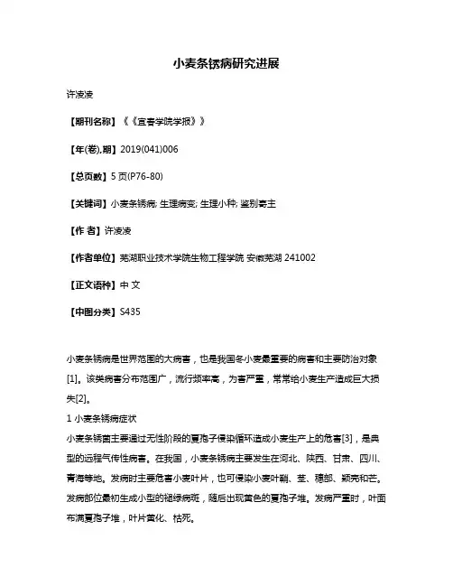 小麦条锈病研究进展