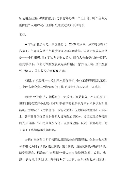 企业生命周期分析案例
