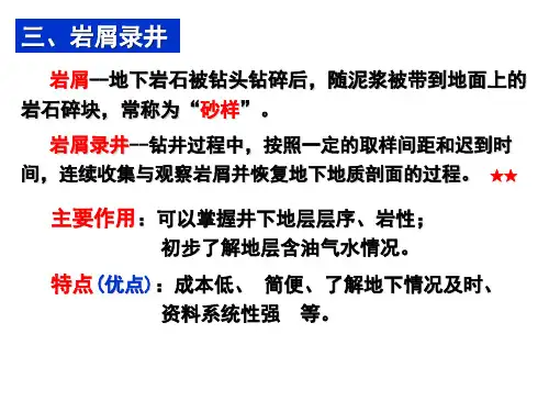 岩屑录井