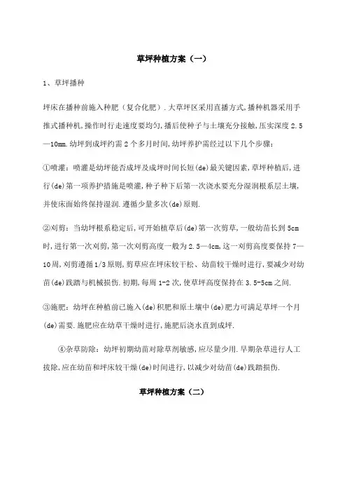 草坪种植方案