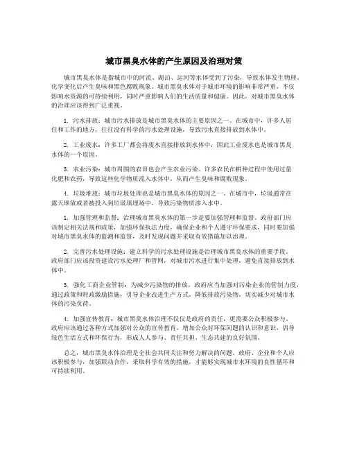 城市黑臭水体的产生原因及治理对策