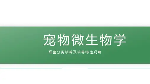 【宠物微生物课件】细菌的分离培养