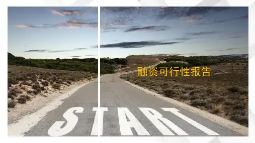 融资可行性报告(PPT51页)