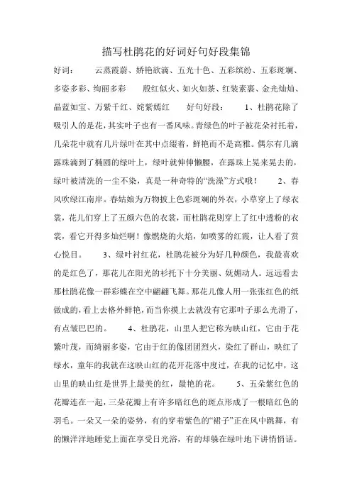 描写杜鹃花的好词好句好段集锦