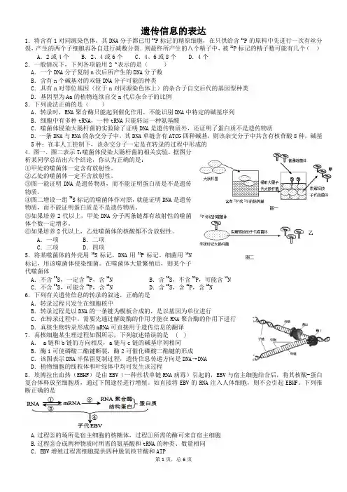 高考生物遗传信息的表达专项练习