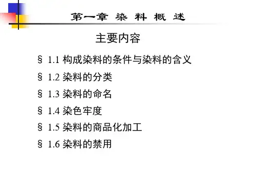 染料PPT