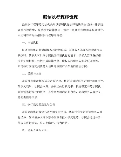 强制执行程序流程