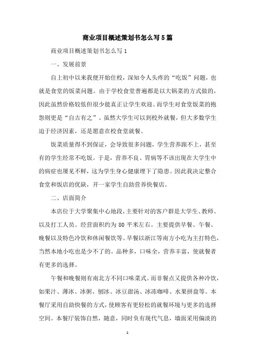 商业项目概述策划书怎么写5篇